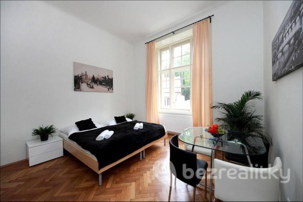 Peaceful Couple / Old Town / Jewish Quarter Apartment Prague